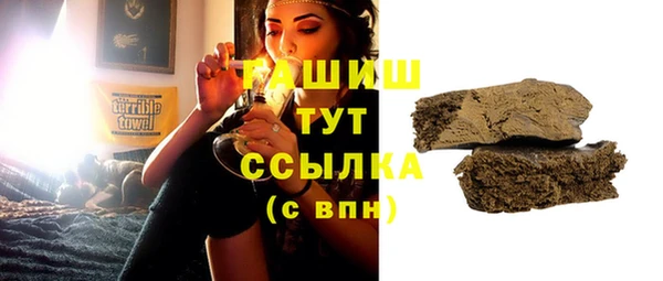 мдпв Гусев