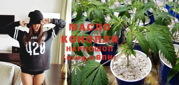 прущие грибы Гусиноозёрск