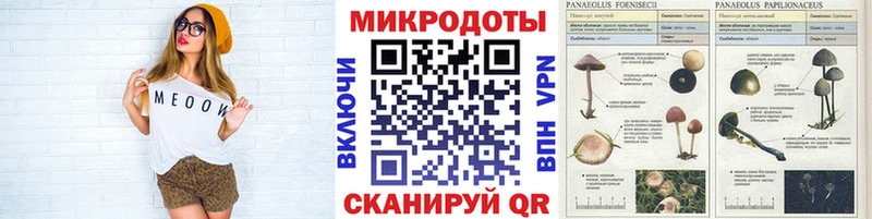Галлюциногенные грибы Magic Shrooms Заозёрск